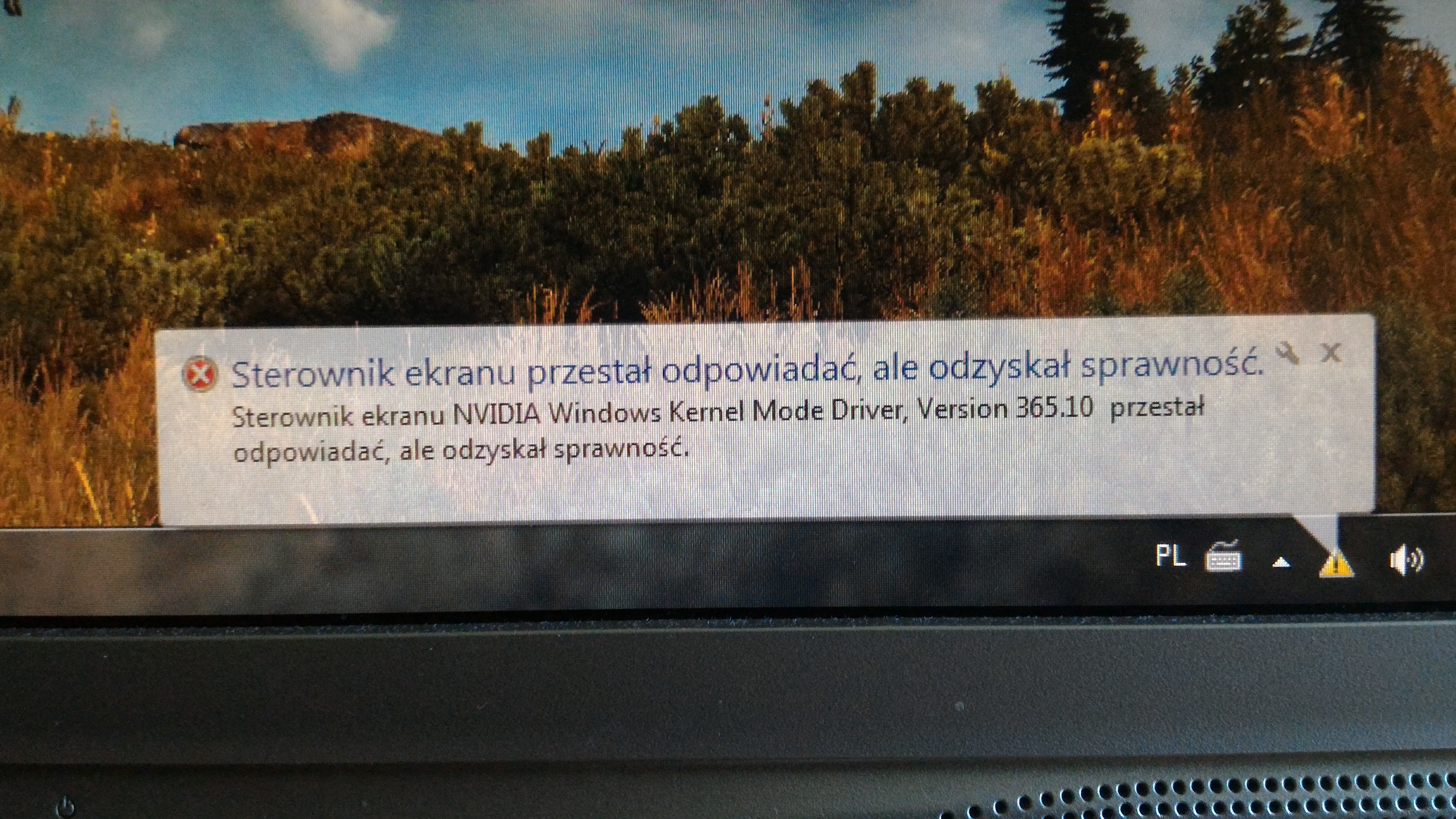 1135009500_1462719519.jpg