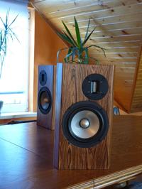 Monitory Fountek FW168 + NeoCD1.0