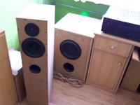 Aktywny subwoofer na SwansSpeaker HiVi SP10 + Holton 400