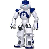 NAO, humanoidalny robot o wysokich mo�liwo�ciach
