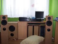 Aktywny subwoofer na SwansSpeaker HiVi SP10 + Holton 400