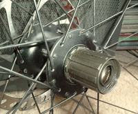 3201349300_1310559081_thumb.jpg