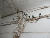 Zdj�cia najlepszych i najgorszych instalacji elektrycznych.