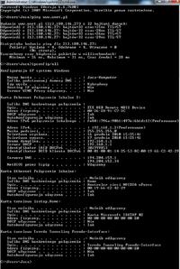 Router Pentagram Cerberus p6331-4A+ZXDSL831AII
