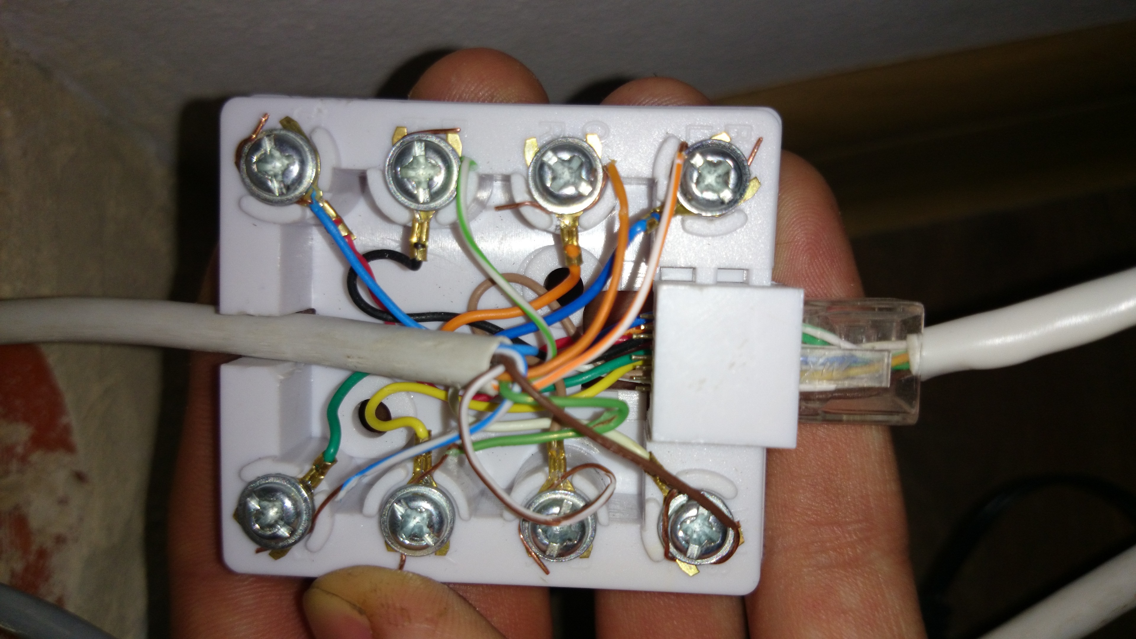 3702775100_1395944436.jpg