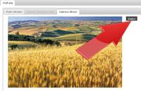 Instrukcja zamieszczania zdj�� oraz obrazk�w na forum