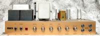 Replika Marshall Plexi 50 W 1987 DIY