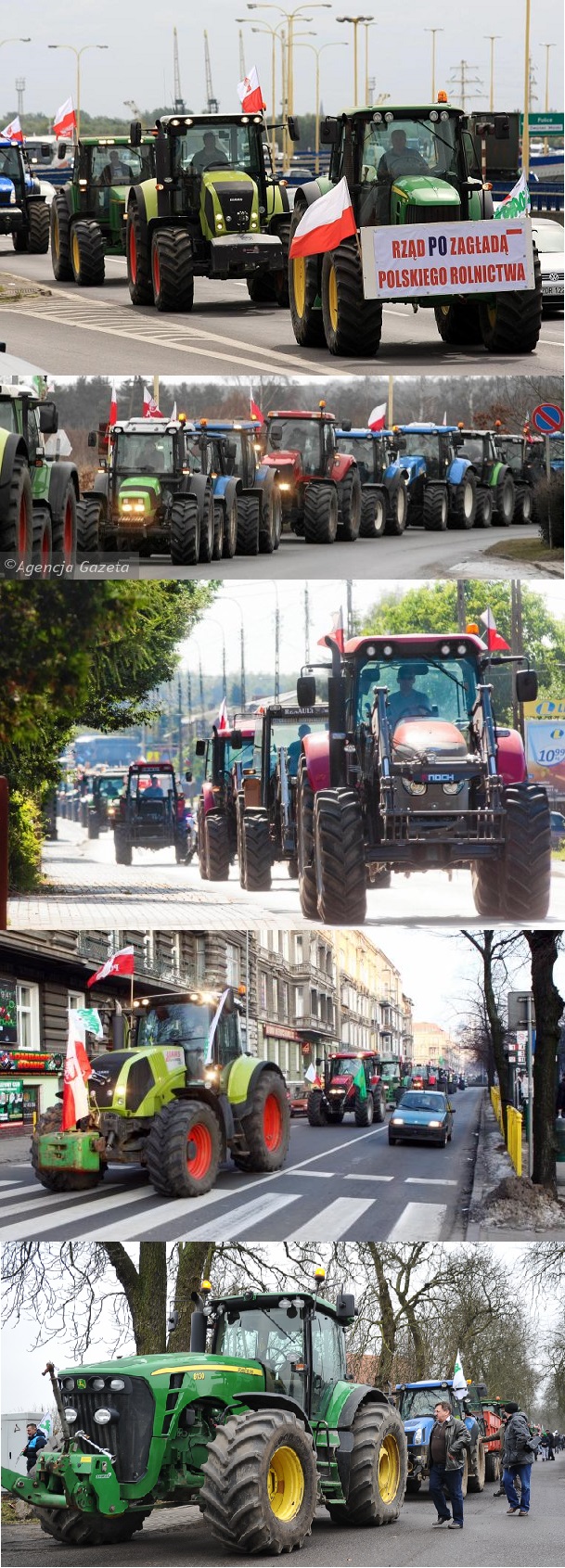 Rząd PO zagładą polskiego rolnictwa
