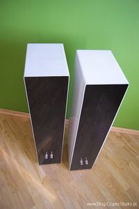Szklanki - czyli kolumny pod�ogowe. (VIFA DX25, STX GDN-18-130-8-AKX)