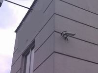 Ciekawostki instalacyjne (�mieszne fotki zabezpiecze�)