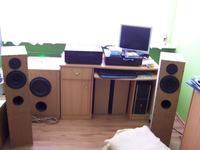 Aktywny subwoofer na SwansSpeaker HiVi SP10 + Holton 400