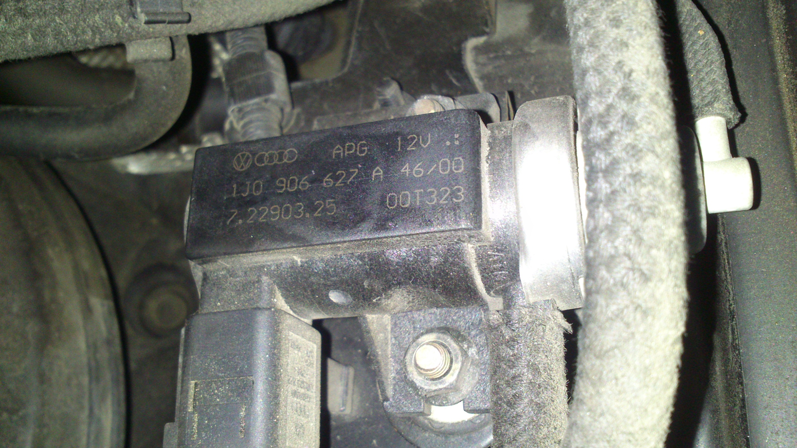 8395401600_1366139026.jpg