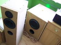 Aktywny subwoofer na SwansSpeaker HiVi SP10 + Holton 400