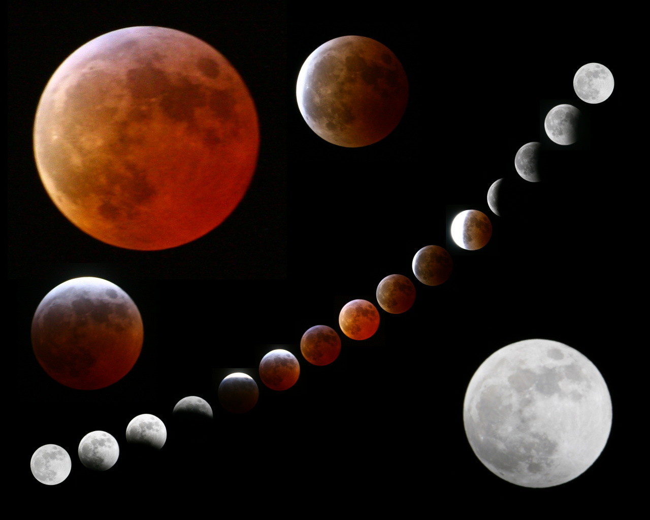 На фото: A 2010 Lunar Calendar.