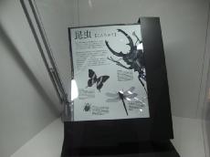 Sony zaprezentowa�o e-paper o rozmiarze 13.3"