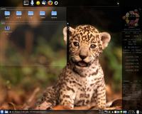 Ubuntu/Kubuntu zainstalowałeś i nie wiesz jak zacząć? Ubuntu/Kubuntu zainstalowałeś i nie wiesz jak zacząć?