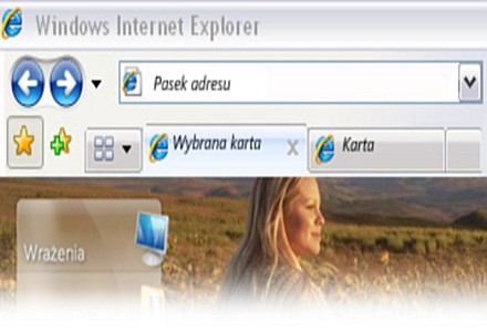 Windows 7 bez Explorera tylko w krajach Unii Europejskiej. Windows 7 bez Explorera tylko w krajach Unii Europejskiej.