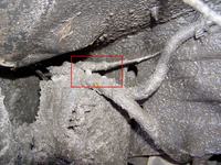 kadett E c14nz przewód podciśnienia