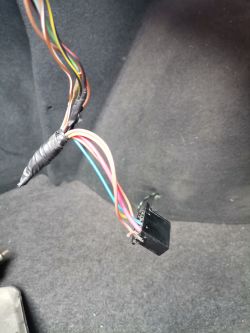 Luzna wiązka w bagażniku - Oświetlenie tablicy rejestracyjnej