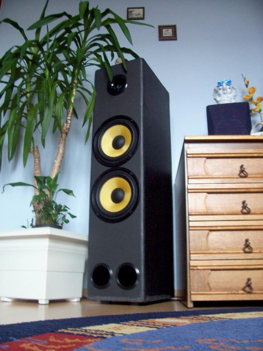 Subwoofer na GDN 30/300/4AP (blade13)
