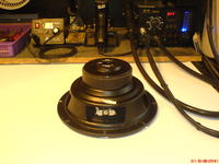 Głośnik Boschmann, prośba o pomoc w rozpoznaniu.