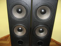 Czy ktoś rozpozna co to za kolumny na podstawie fotografi ?