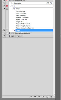 Jak w Photoshopie CS4 kadrować wiele zdjęć z tym samym obszarem?