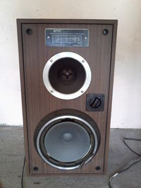 Unitra ZG30C114 i dylemat z ...