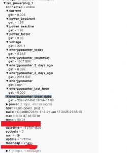 MQTT Explorer Screenshot for LSC Smart Plug Screenshot from MQTT Explorer showing data for LSC Smart Plug.