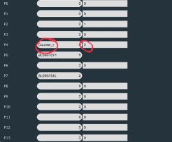 Screenshot of interface with dropdowns and highlighted P4 field