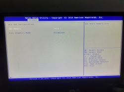 Ekran BIOS z ustawieniami grafiki APU i trybem Dual Graphics Mode wyłączonym.