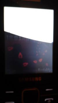 Samsung s5610 - Połowa ekranu biała, reszta normalna - co może być przyczyną?
