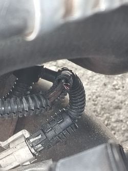Astra H 1.6 Z16XER - przetarta wiązka przy pasku, co to za przewody i jak naprawić?