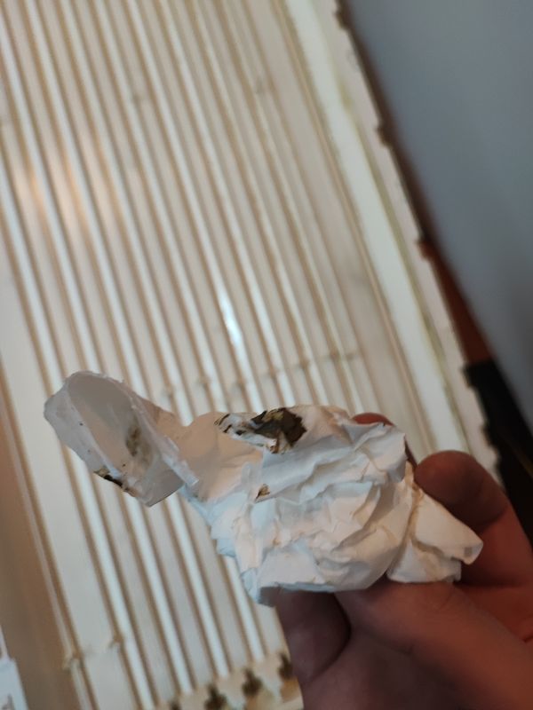 Cleaning a Flooded Television Dirty tissue against the background of a damaged television.