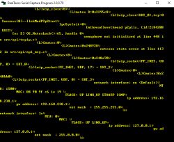 Screenshot from RealTerm showing system logs and network interface information.