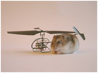 Poszukuję analogowego odbiornika i nadajnika IR do modeli