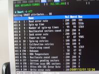 Dysk WDC WD1600JS-55MHB1 zawiesza się podzczas instalacji XP