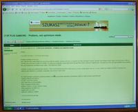 SyncMaster 173P zielony :(