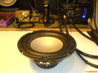 Głośnik Boschmann, prośba o pomoc w rozpoznaniu.