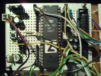 Płytka testowa - którą wybrać?