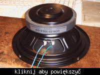 Subwoofer Aktywny 140W GDN-22-300-8-SW Subwoofer Aktywny 140W GDN-22-300-8-SW