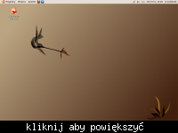 Karmelkowy Koliberek - polski remix Ubuntu 9.10 już jest! Karmelkowy Koliberek - polski remix Ubuntu 9.10 już jest!
