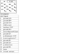 BMW e46 Buisness CD siemnens vdo oznaczenie kostki iso?