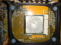 płyta główna asus P4P800-MX