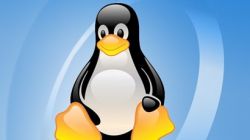[01.07.2022, Webinar] Anatomia wbudowanych systemów Linux