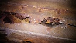 Cost for Car Bodywork Services: Welding Thresholds and Stringers Cost for Car Bodywork Services: Welding Thresholds and Stringers