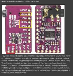 Screenshot showing two sides of a purple audio PCB module with labeled pins; AGND and GND are highlighted.