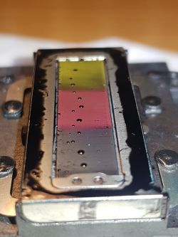 EPSON L365 - Jak sprawdzić czy głowica jest sprawna? Uszkodzona elektronika głow