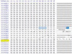 Screenshot of a hex editor with highlighted offsets.
