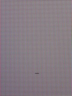 iiyama G-MASTER GB3466WQSU - Martwy piksel / kurz pod matrycą